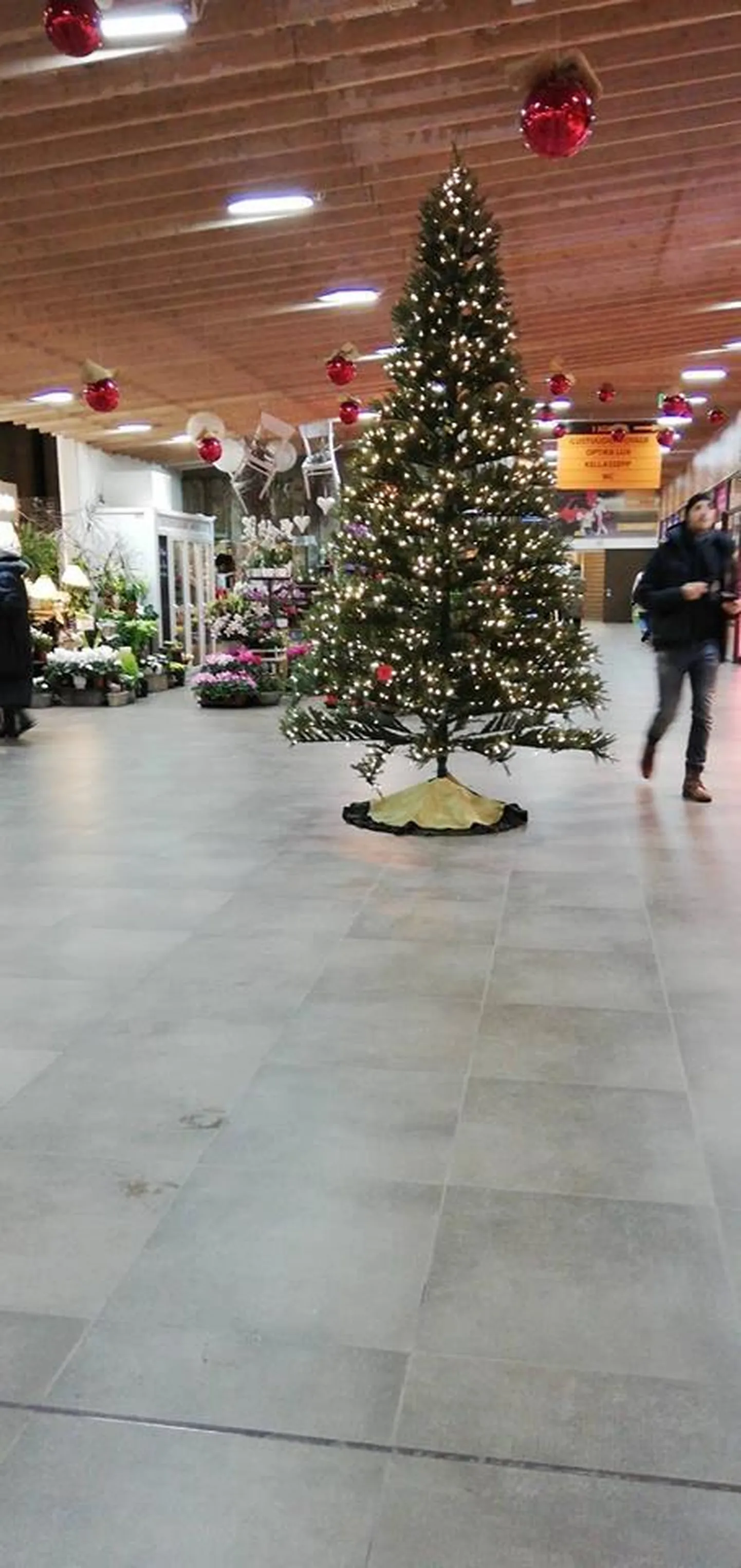 Rakvere Kroonikeskuse jõulukuusk kavatsetakse libaürituse korras ümber lükata.