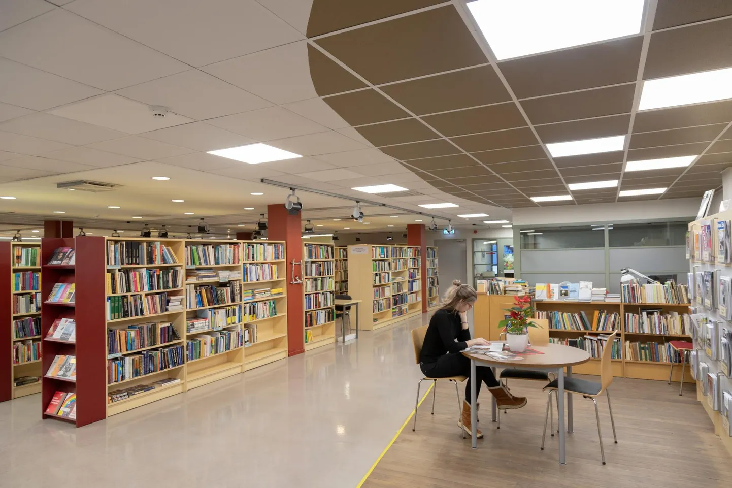 Viljandi linnaraamatukogust käib päeva jooksul läbi umbes 350 inimest. Neid teenindavate töötajate brutokuupalk on 808 eurot.