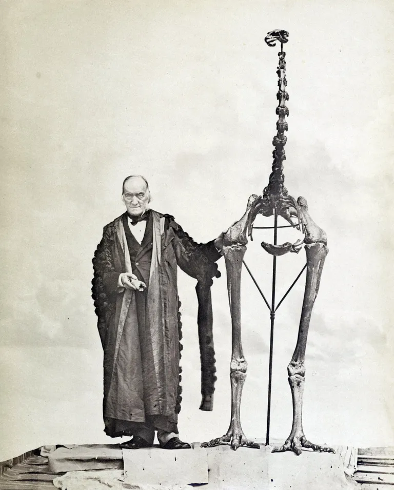 2. august 1841
Richard Owen moa skeletiga - see miljoneid aastaid Maal ealnud lennuvõimetu lind suri lõplikult välja 1300 aasta paiku, kui polüneeslased asustasid Uus-Meremaa.