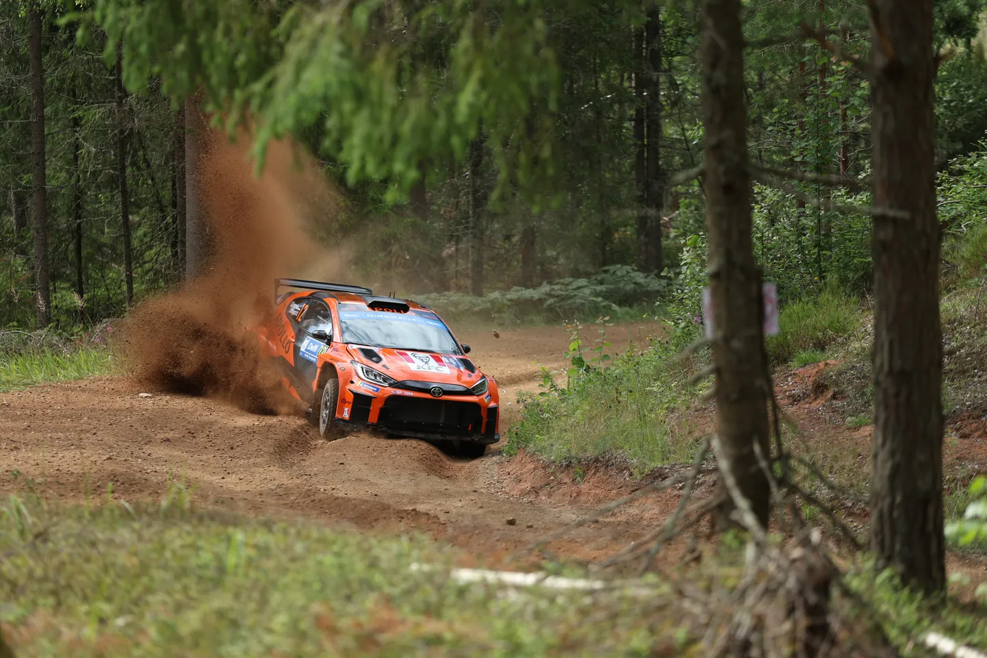Georg Linnamäe ja Cragi Drew Rally Estonia 4. kiiruskatsel.