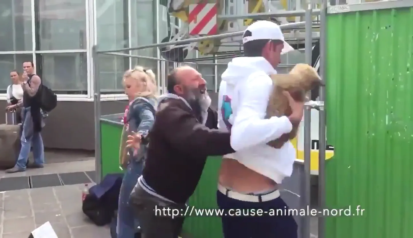 Sotsiaalmeedias on liikvele läinud video, kus loomakaitsjad kodutult mehelt kutsika varastavad.