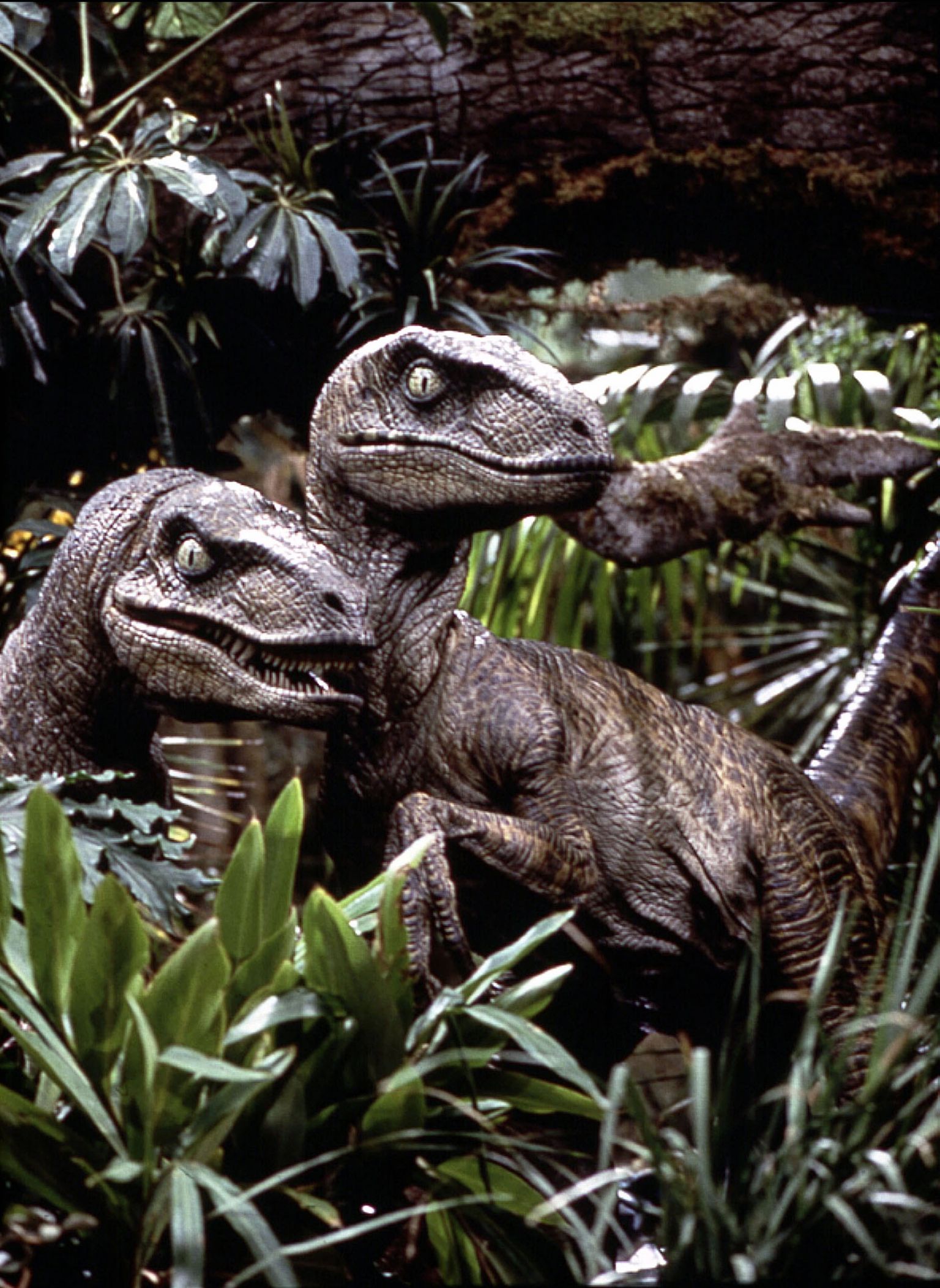 Dinosaurused 2013. aasta filmist