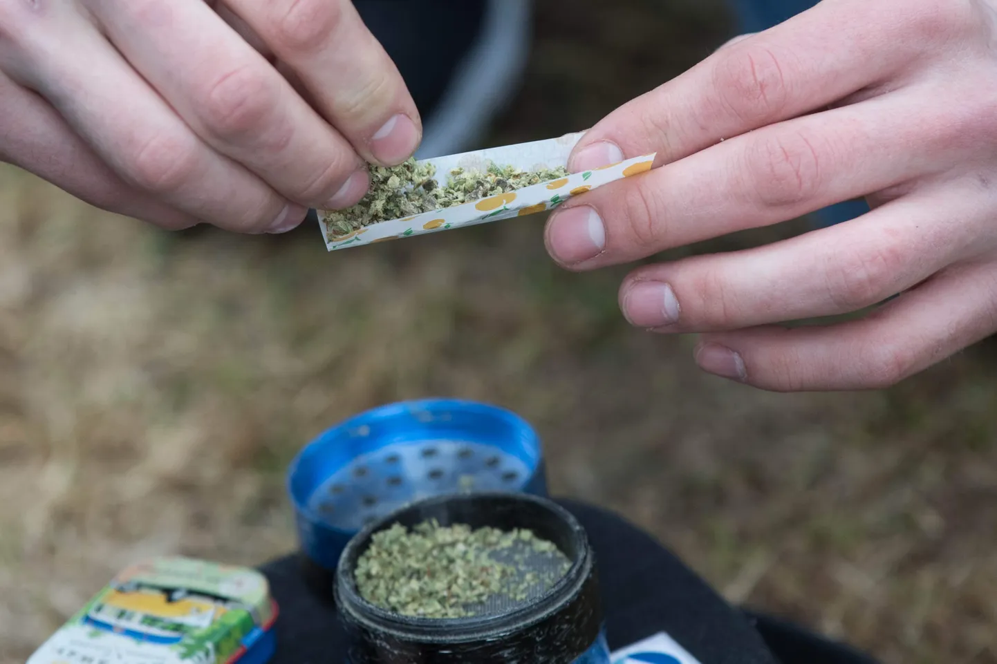 Kanadas on legaalne kasutada kanepit meelelahutuslikult. Pildil kanadalane keeramas kanepisigaretti