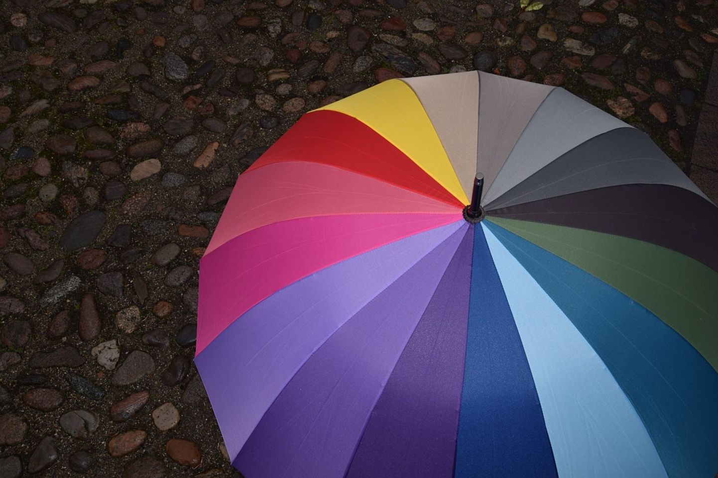 Зонтик. Иллюстративное фото