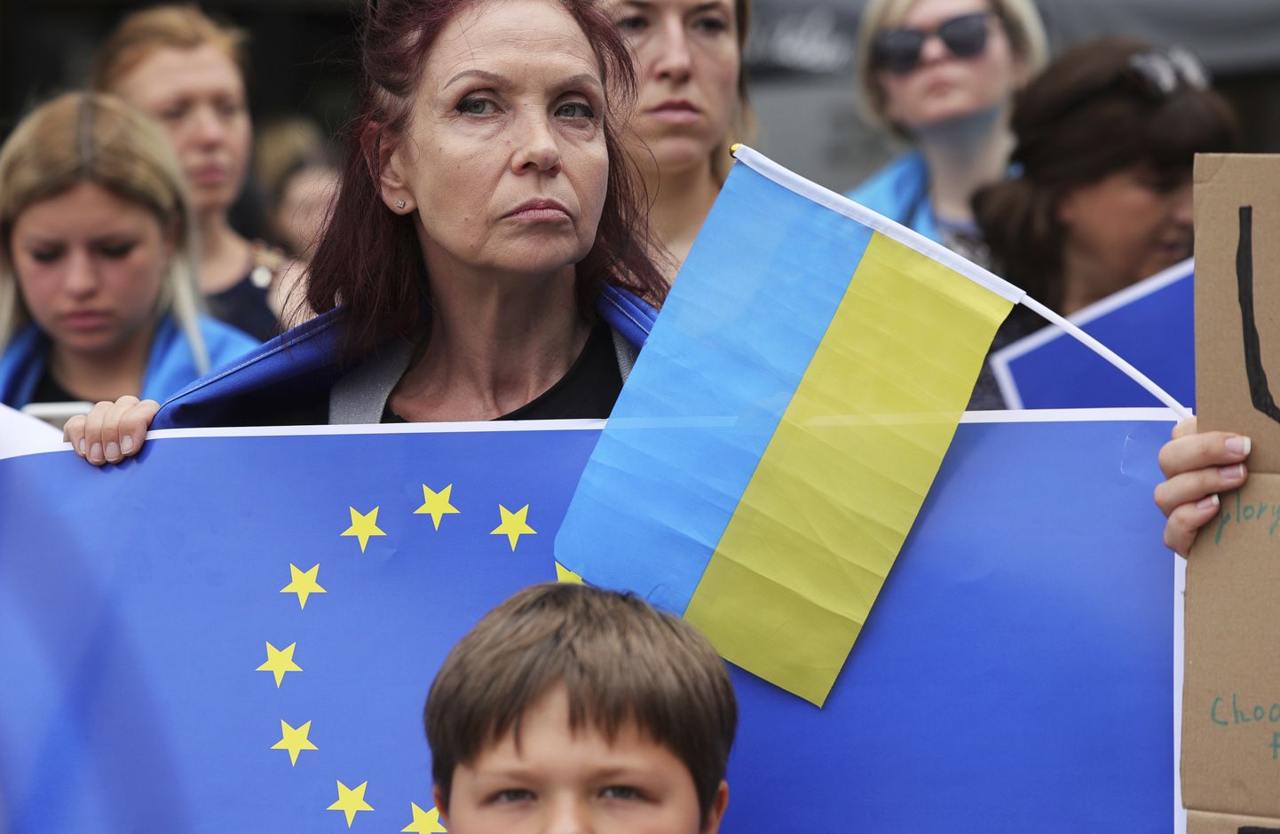 Ülemkogu ajaks kogunesid Brüsseli eurokvartalisse ka ukraina meeleavaldajad.