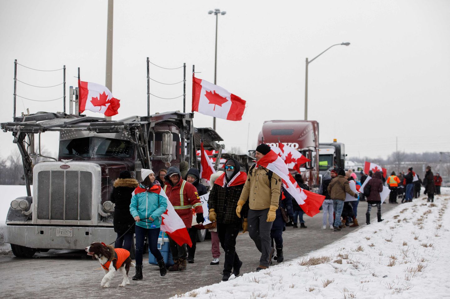 Акция протеста дальнобойщиков в Канаде