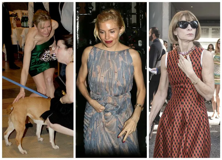 Renee Zellweger, Sienna Miller, Anna Wintour. Fotod: