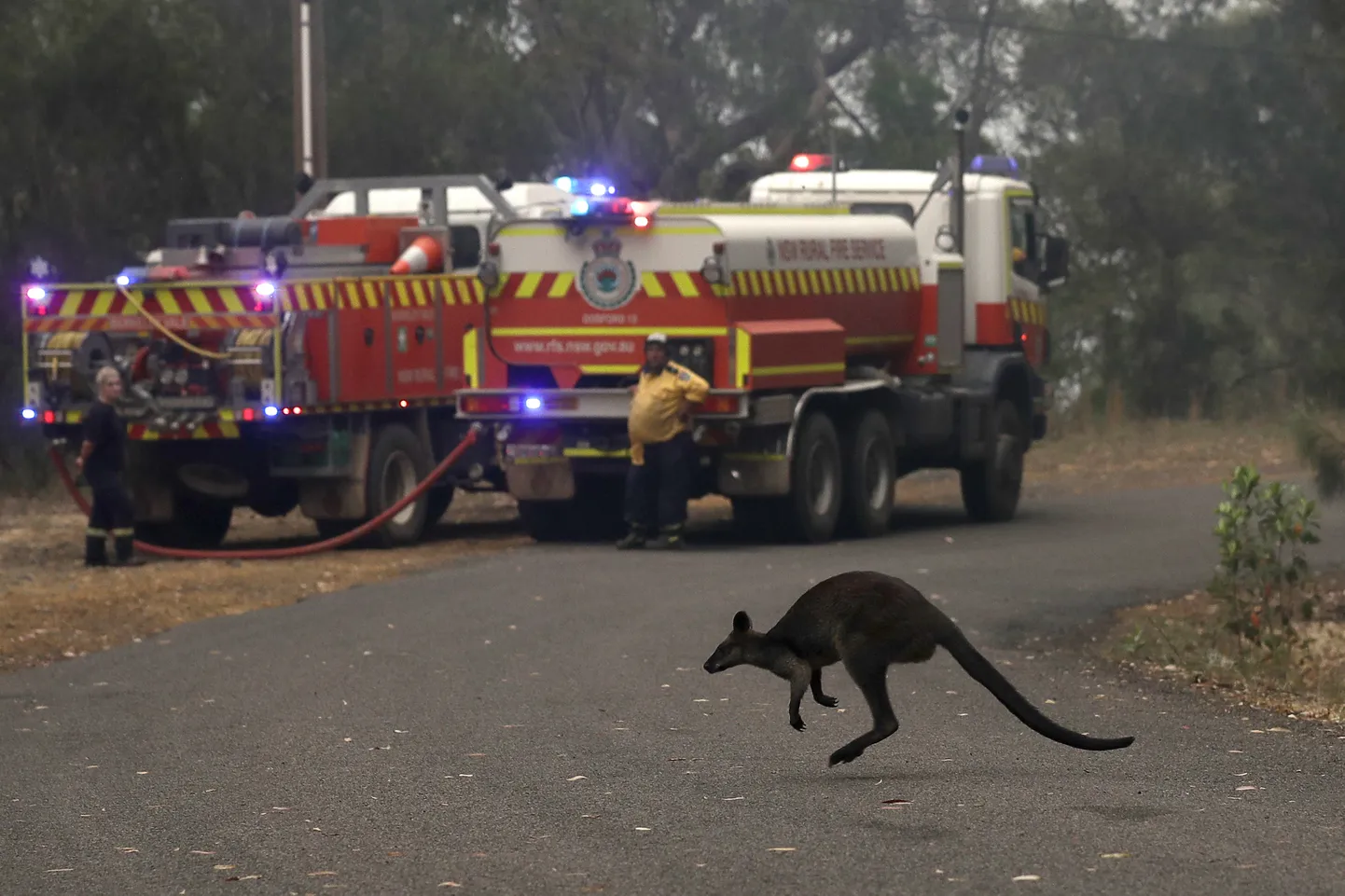 Savvaļas ugunsgrēki Austrālijā