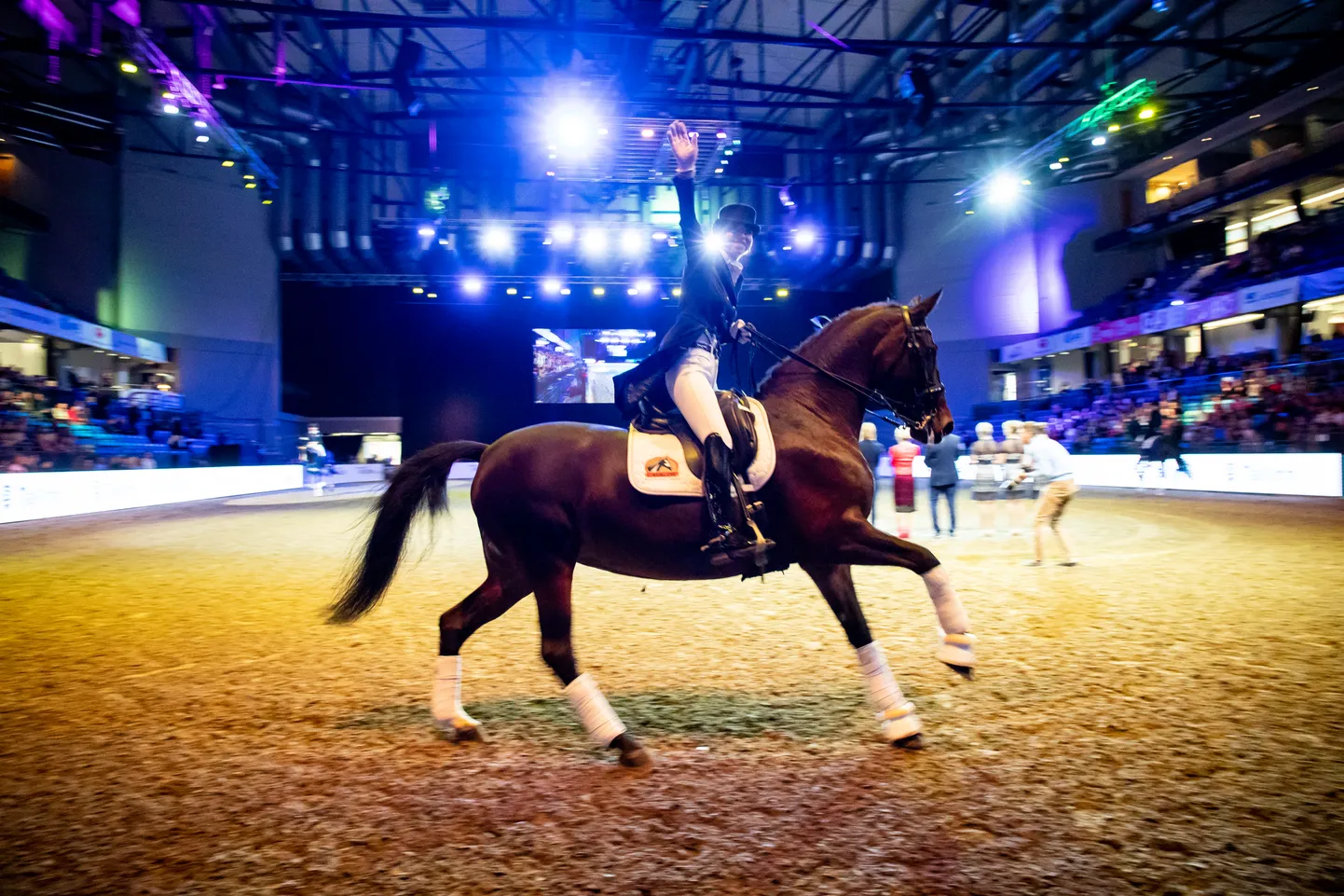 Stiilinäide 2018. aasta Tallinn International Horse Show´lt.