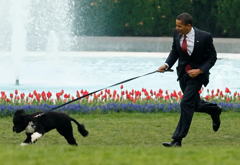 Barack Obama ja Bo