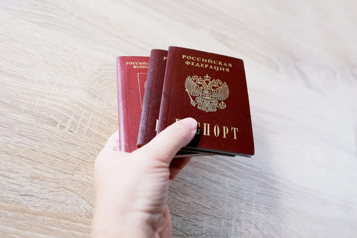 Российские паспорта