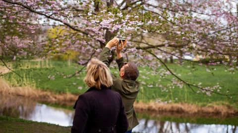 Svētdien vietām gaiss iesils līdz pat +16 grādiem