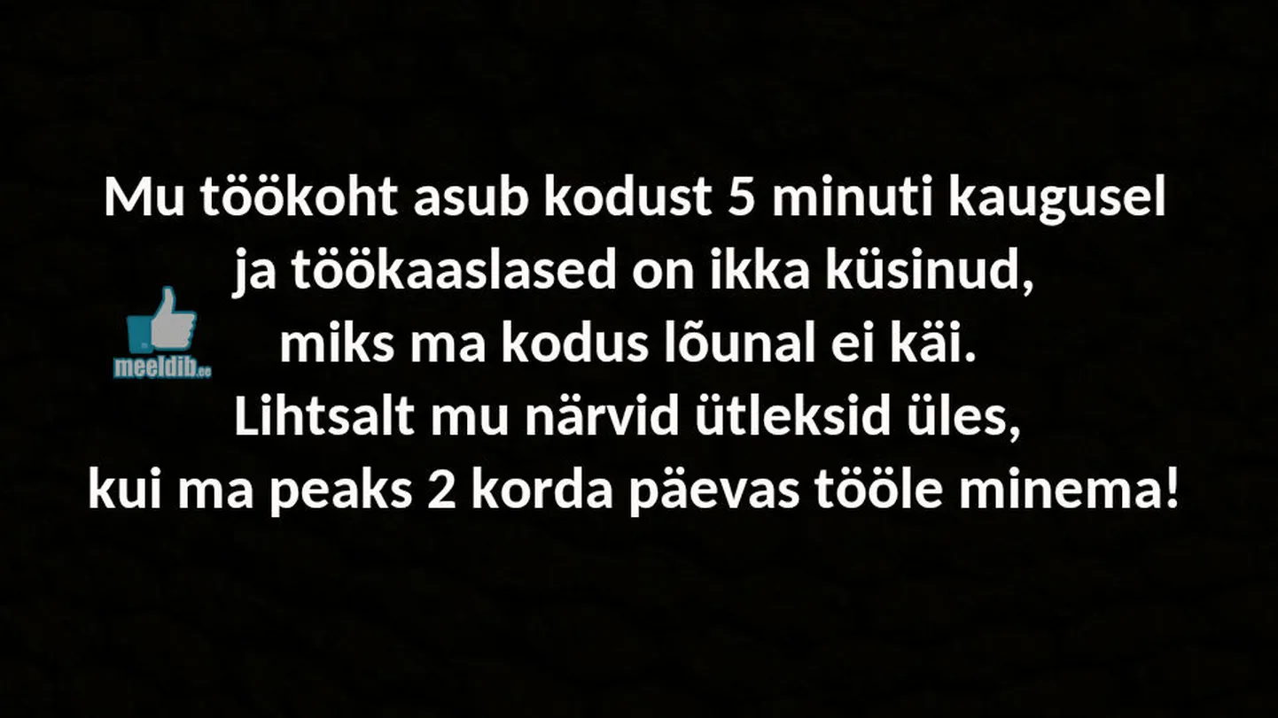 Artikli foto