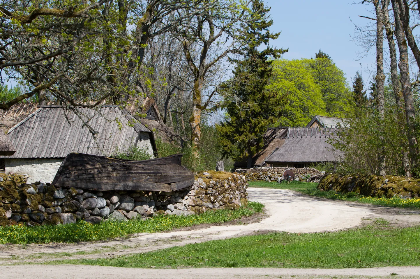 Koguva küla