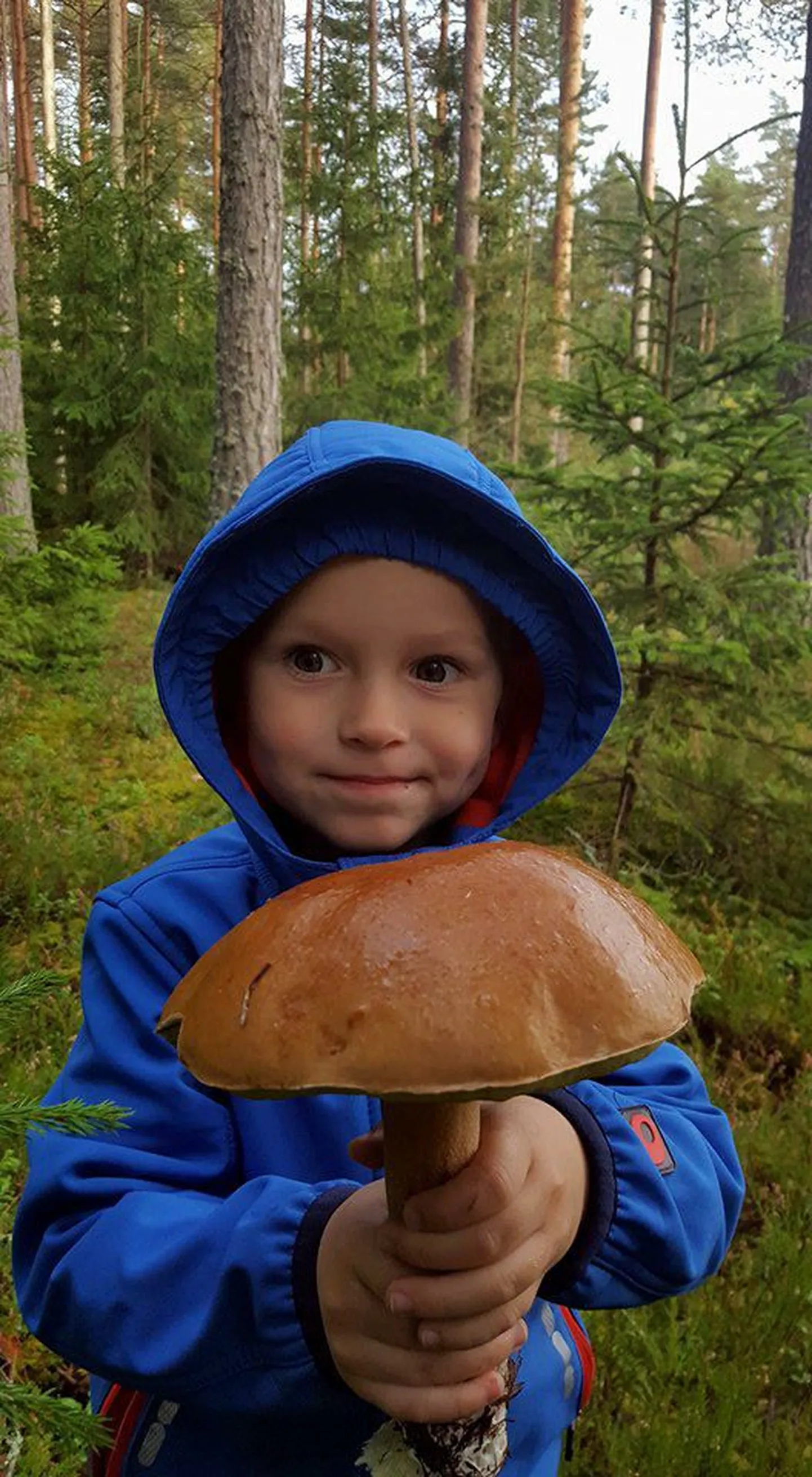 «Mida pekki, kui suur seen siin on!»