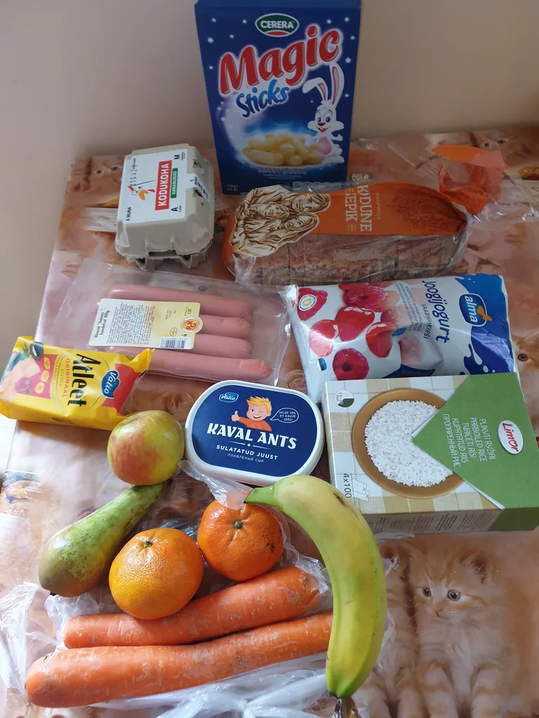 Продуктовый пакет Таллиннской Художественной гимназии.