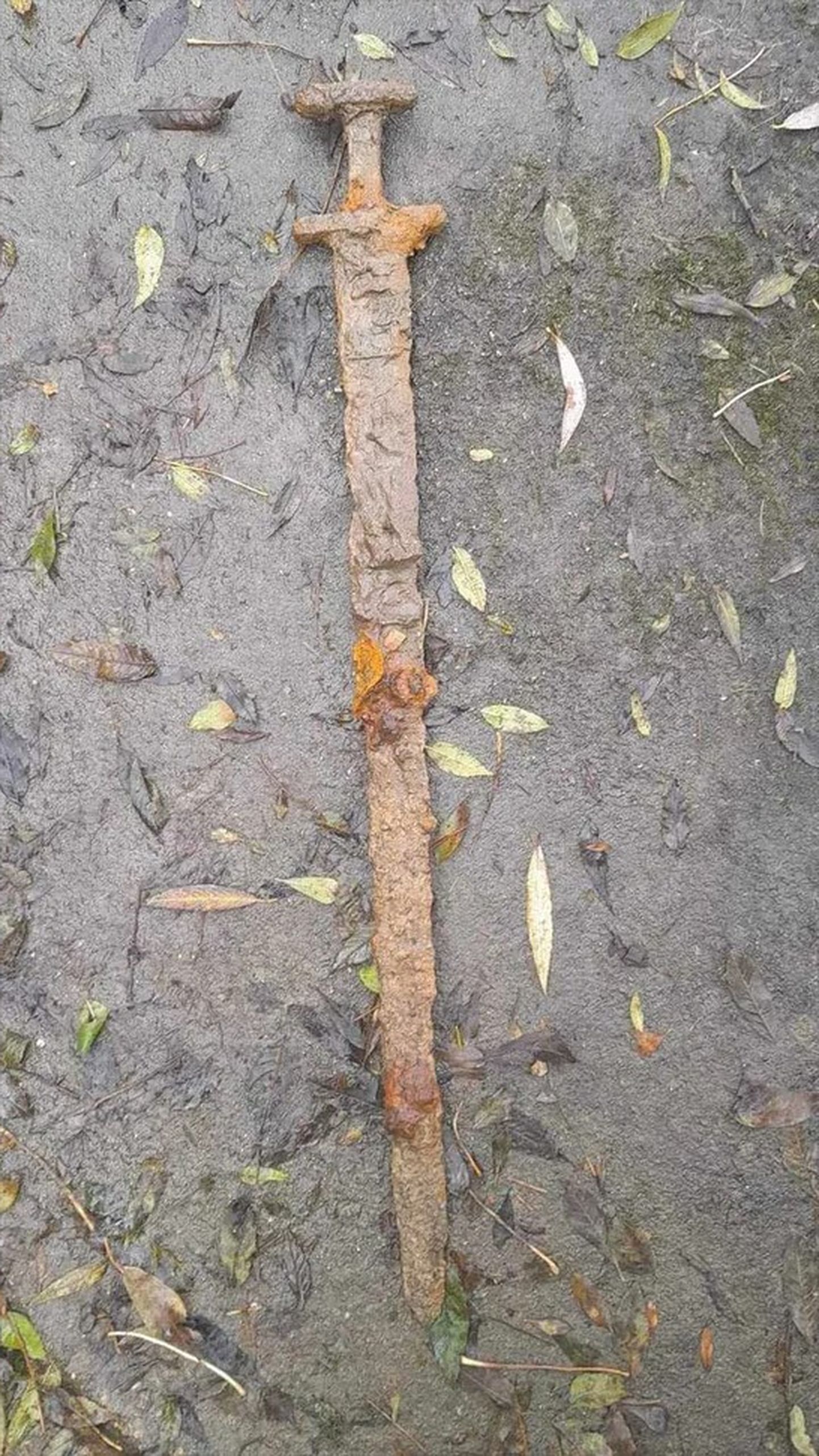 Seni vaid kiirhinnanguga dateeritud mõõk on tunnistatud viikingiaegseks ja pärineb arvatavasti 1200 aasta tagusest ajast.