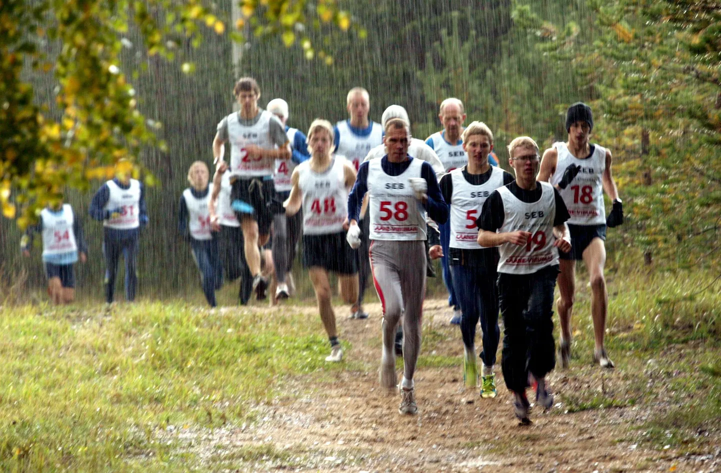 Hea jooksusussiga tunneb spordisõber ennast rajal mugavalt.
