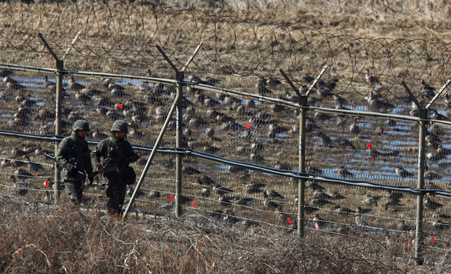 Põhja-Korea ja Lõuna-Korea vaheline demilitariseeritud tsoon.