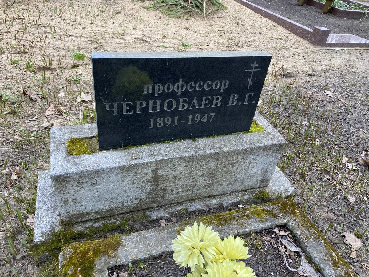 Фото статьи