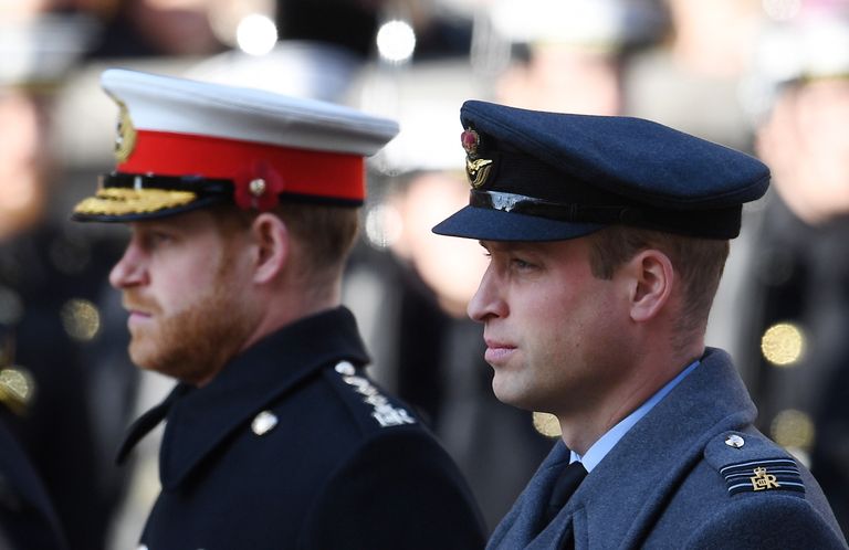 Prints Harry ja prints William aastal 2019 Esimese maailmasõja lõpule pühendatud mälestustseremoonial. EPA/ANDY RAIN