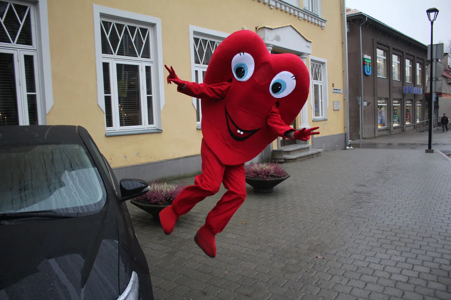 Paide Südamemaskott