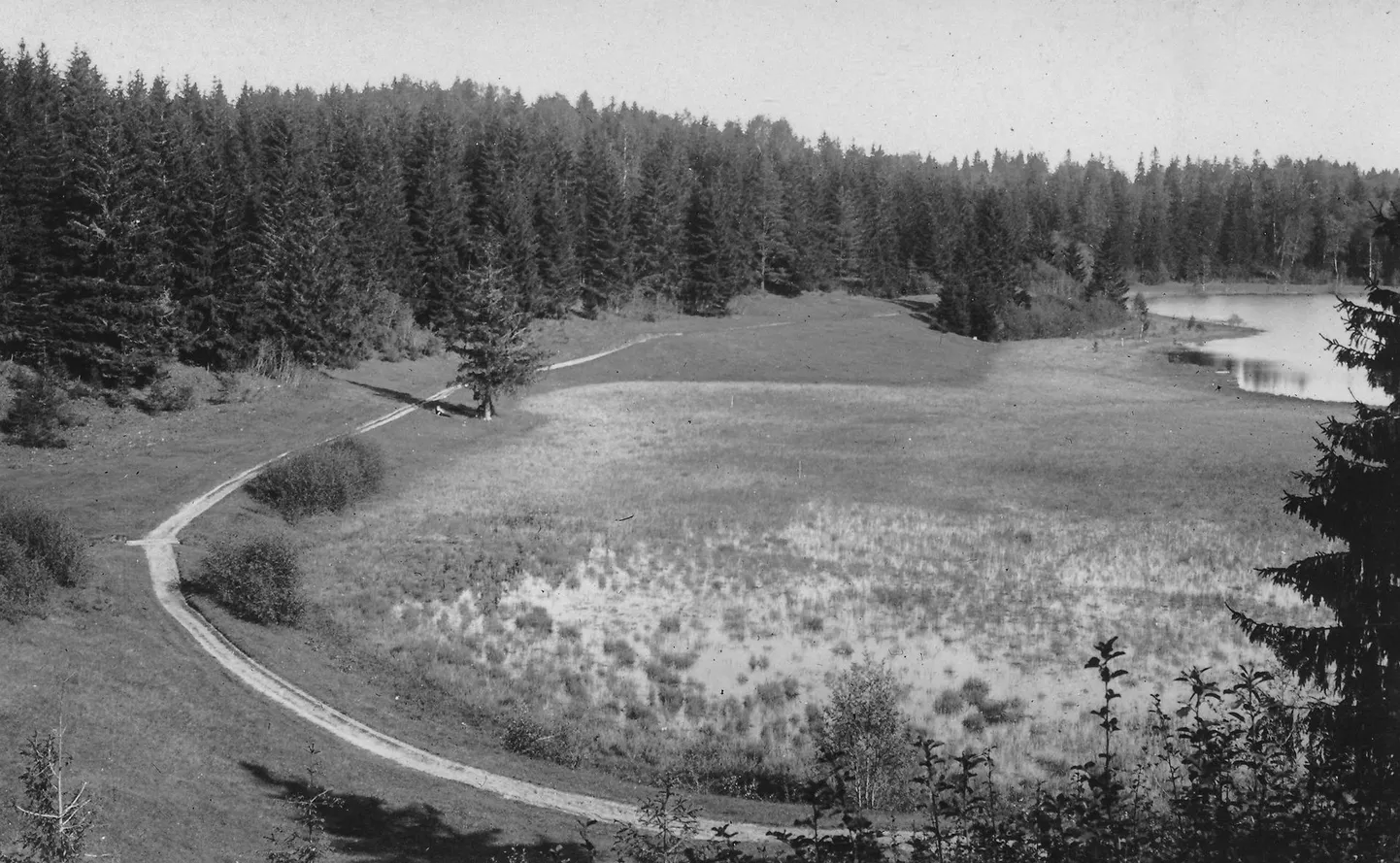Karisööda järv Neerutis (Lääne-Virumaal) 1931. aastal.
