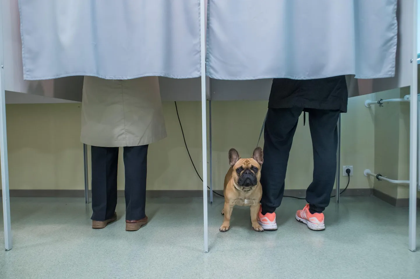 Riigikogu valimistele seati Pärnumaal üles 66 kandidaati.