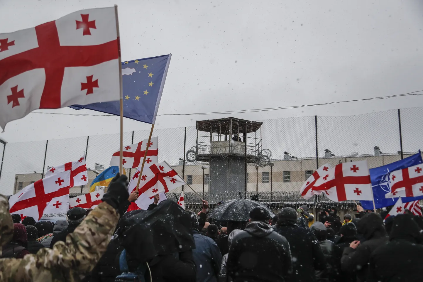 Люди протестуют, выражая поддержку лидеру оппозиции Нике Мелия. 23 февраля