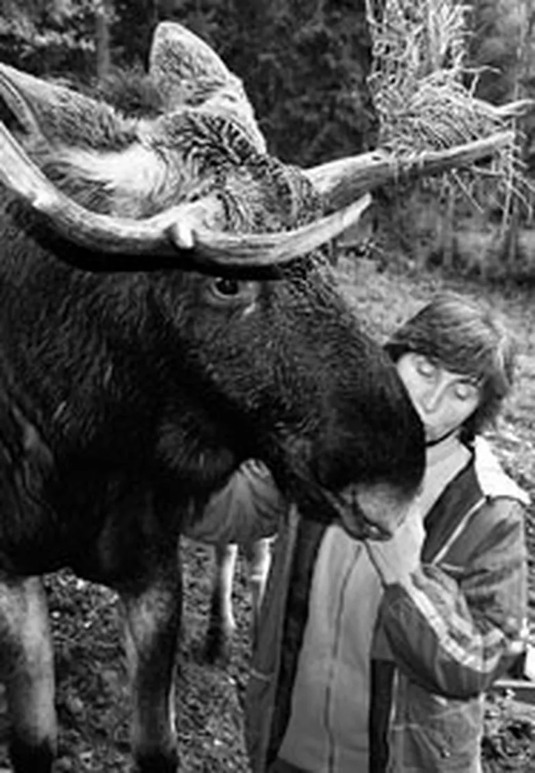 foto no Velgas Vītolas krājumiem