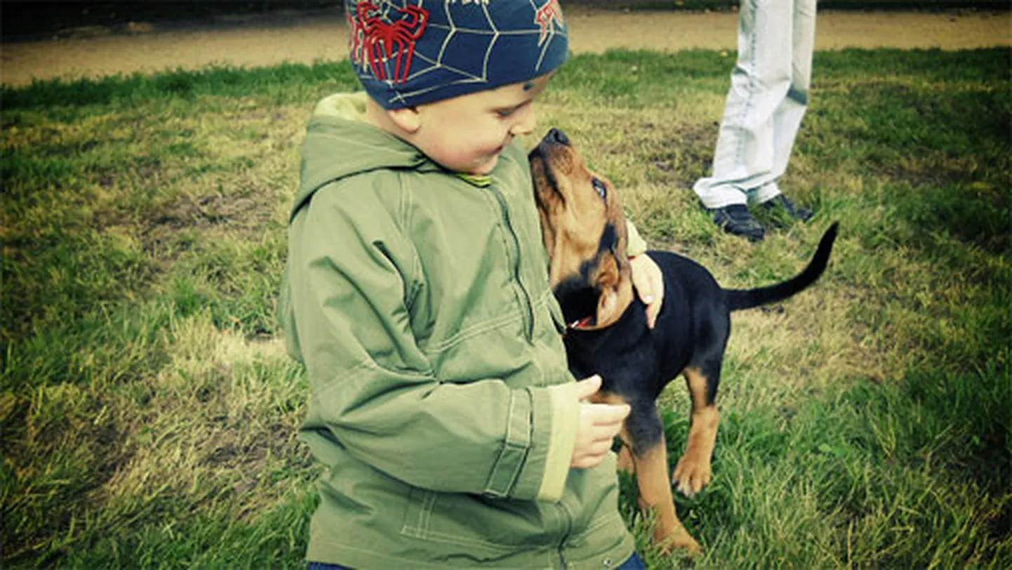 Raksta foto