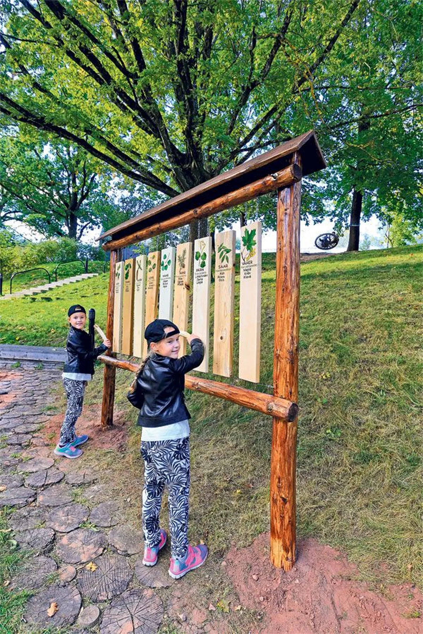 Kuigi puidust ksülofoni avamine on ametlikult laupäeval, said seitsmeaastased kaksikud Jette Marii (vasakul) ja Jonne Bel Jahhu
sellega tutvuda juba neljapäeva pärastlõunal.