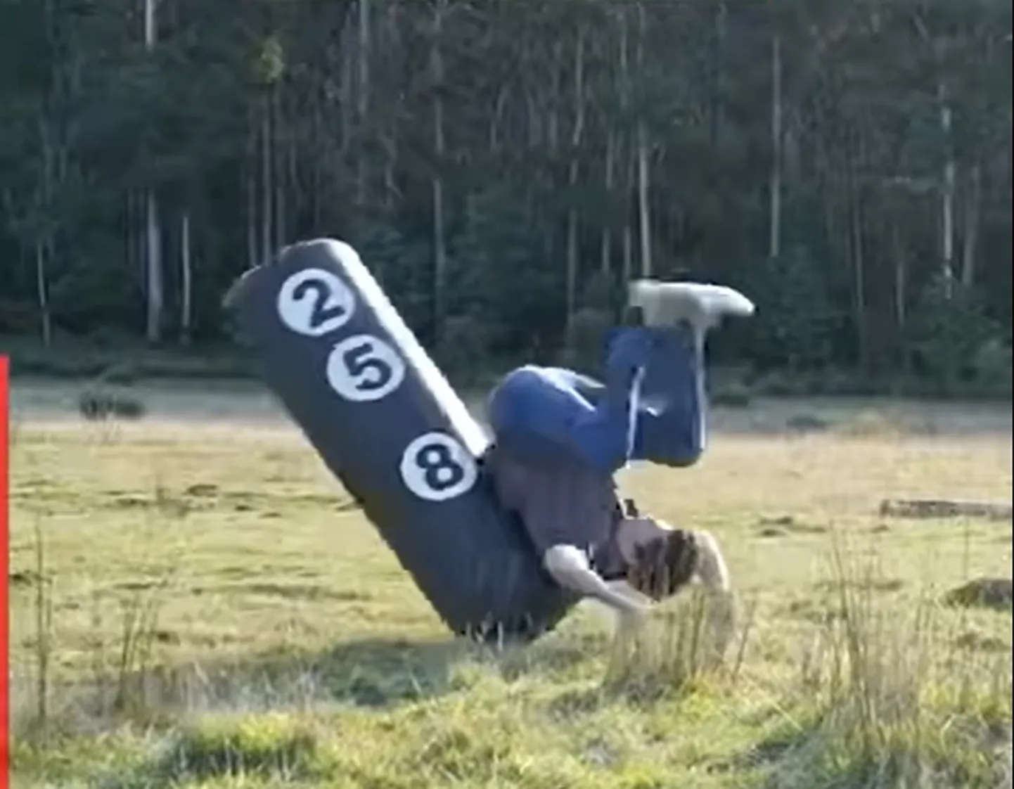 Kuvatõmmis videost