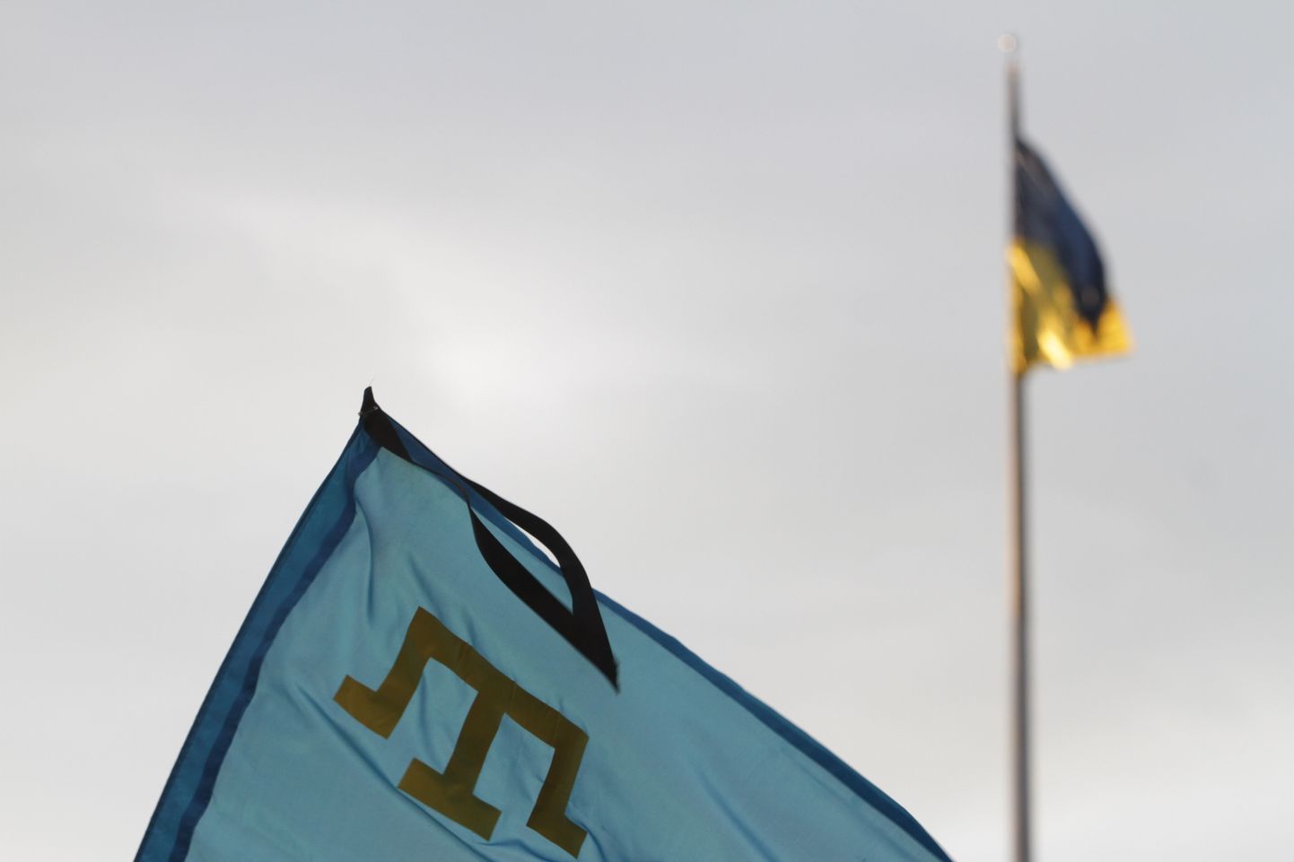 Флаг крымских татар.