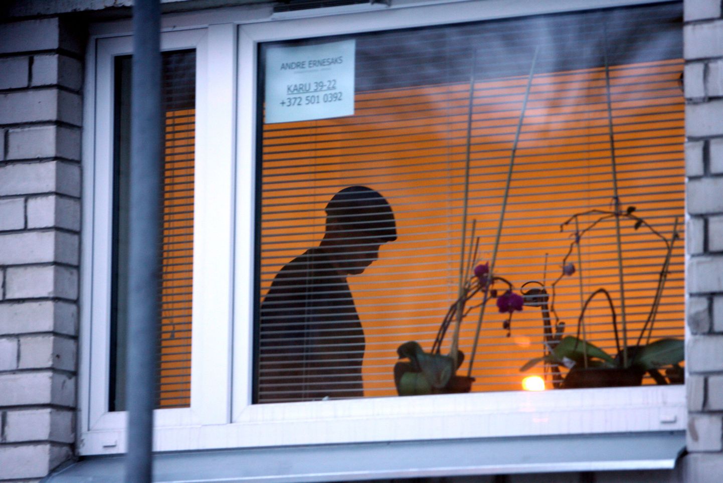 Vaade retseptiärimehe Andre Ernesaksa Tallinna Karu tänava korteri aknasse.