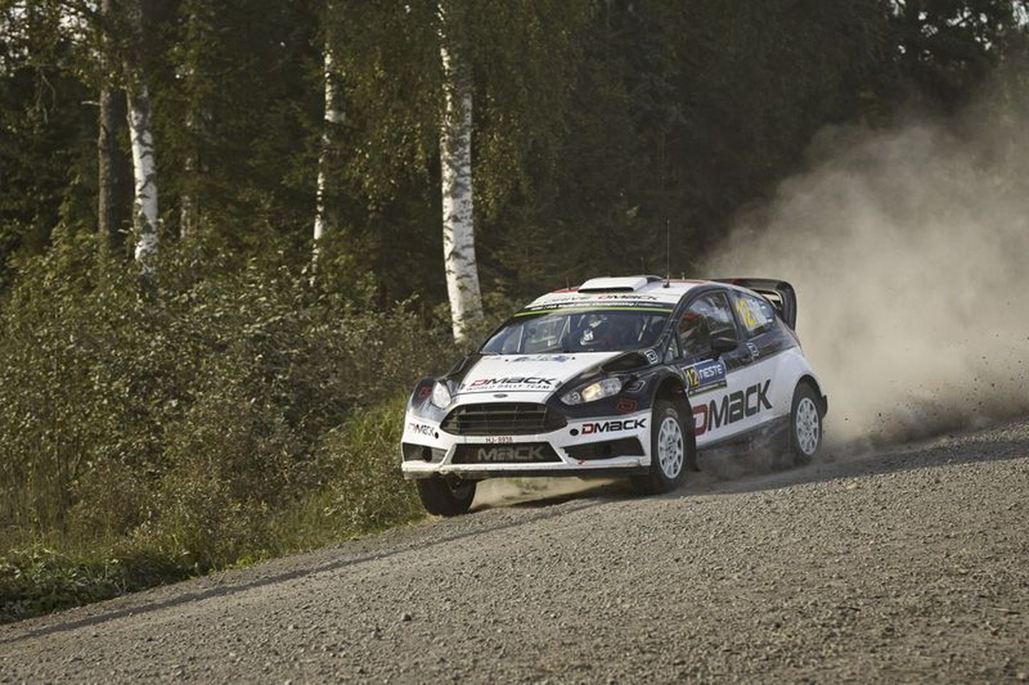 Ford Fiesta RS WRC toob Georg Grossi peale kolmeaastast pausi rallisporti tagasi.