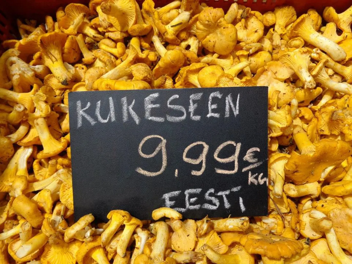 Kukeseened.