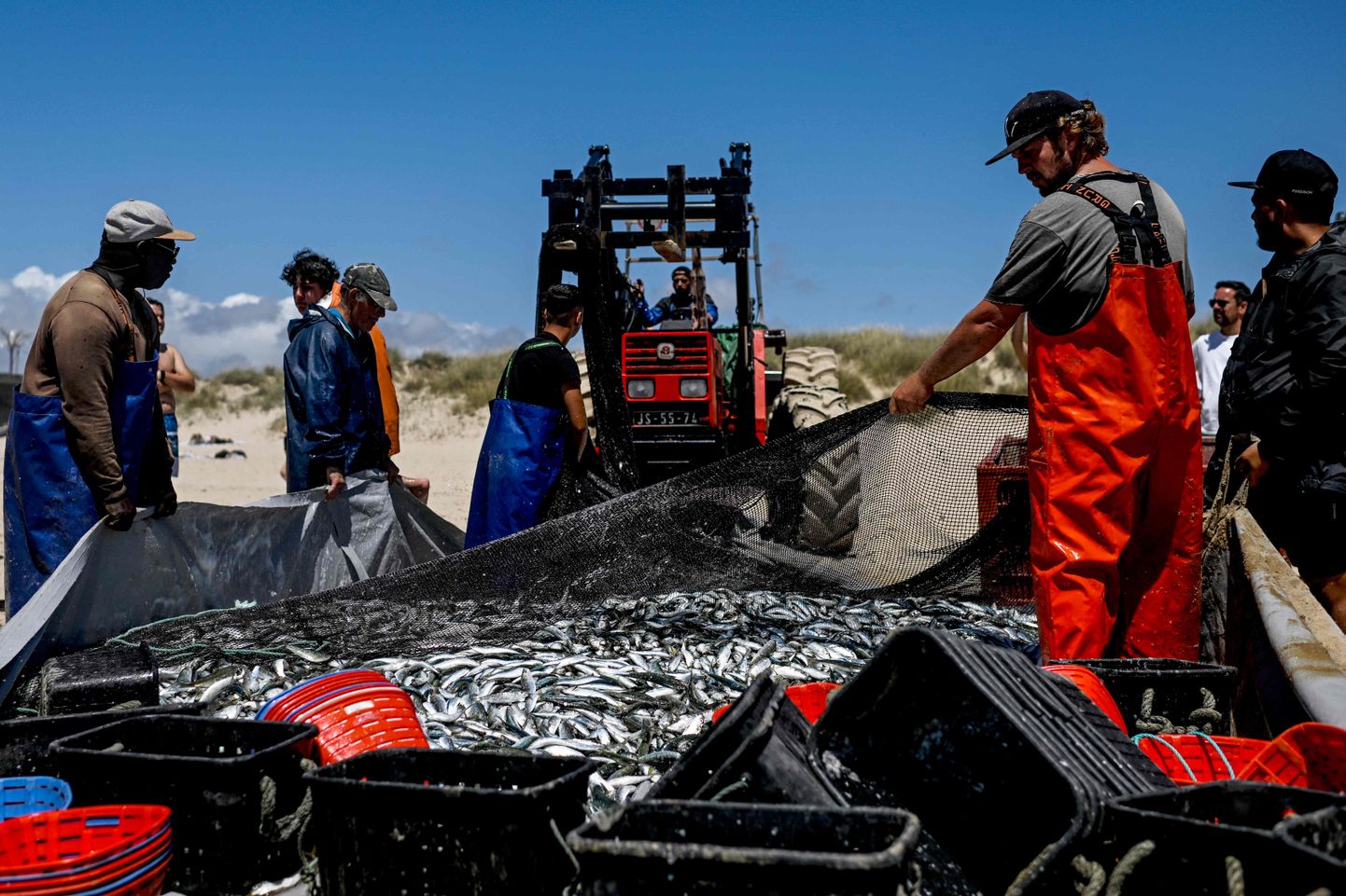 Portugalis algas sardiinipüügihooaeg ja kalurid tõmbavad traktoriga merest võrke välja. Pilt on tehtud 4. mail 2023.