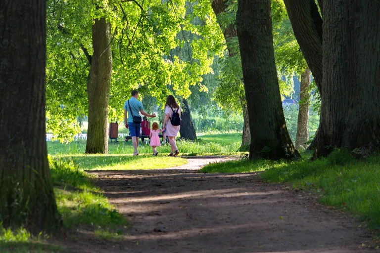 Фото статьи