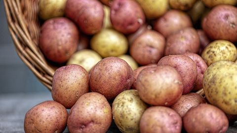 Anekdoot: miks kasvab kartul kiiremini?