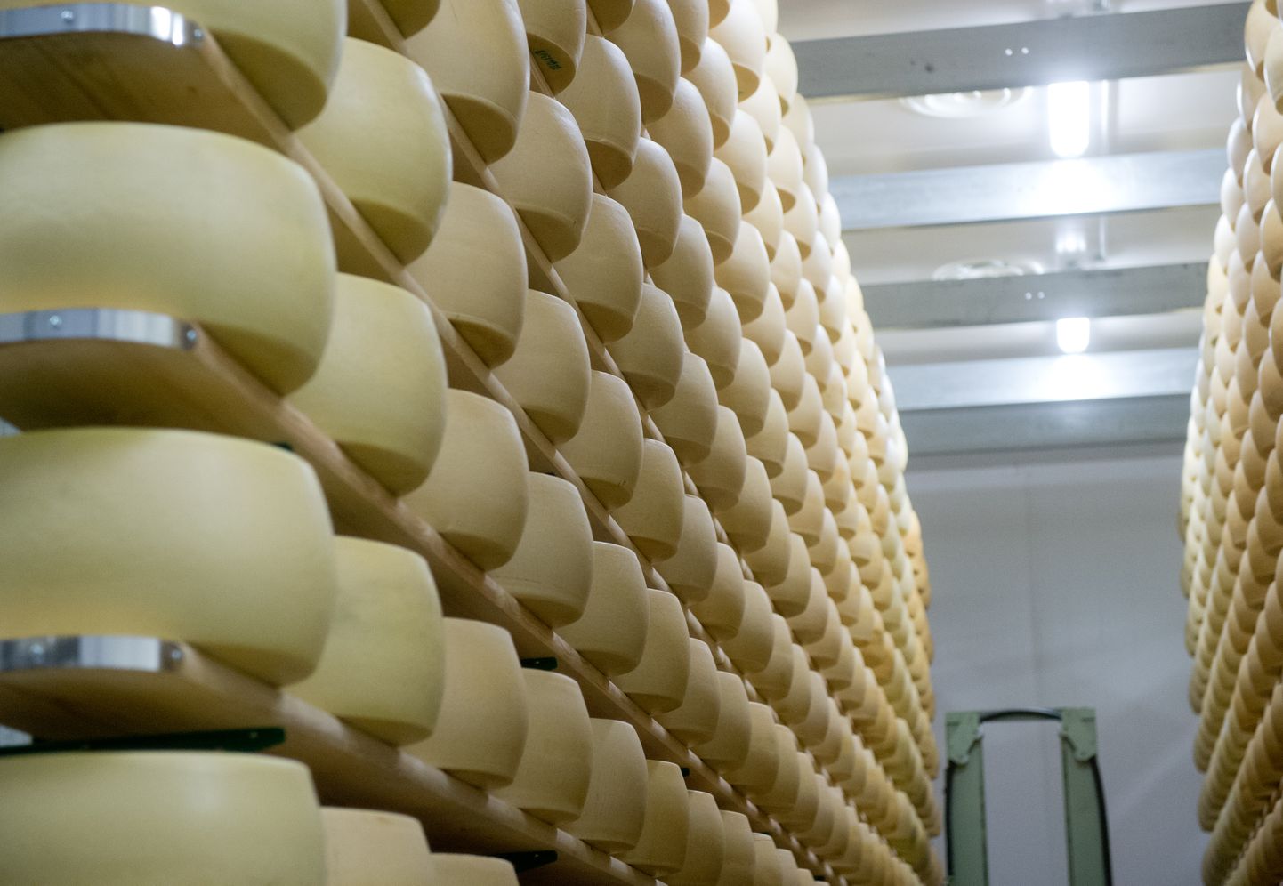 Eestile määratud maksimaalne toetatav juustukogus on 434 tonni.