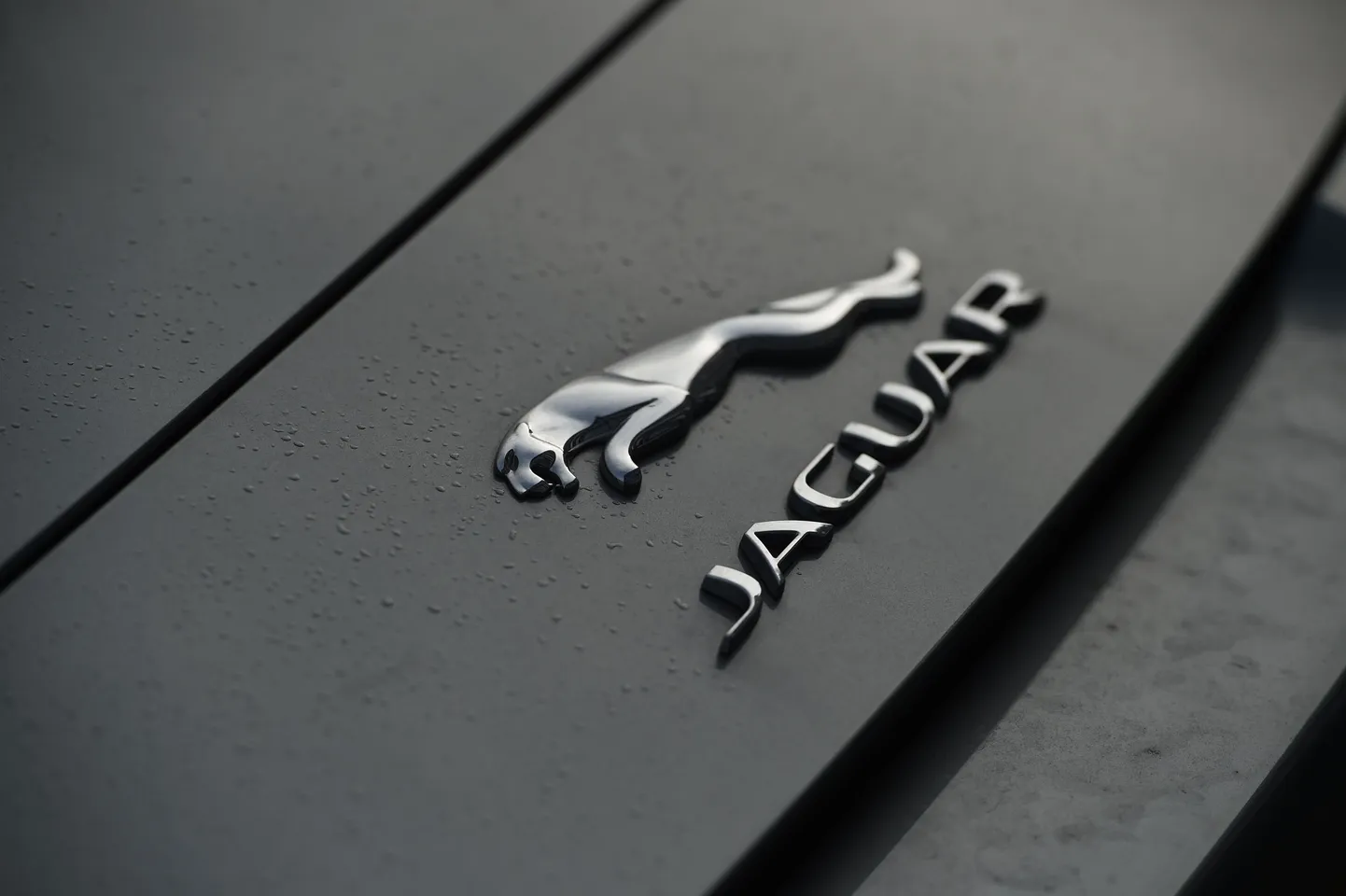 Jaguari logo.