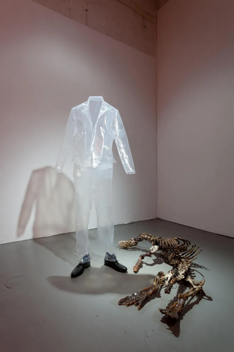 Edith Karlson, «Lühike lugu», 2019. Hülgeluustik, kasvuhoonekile.