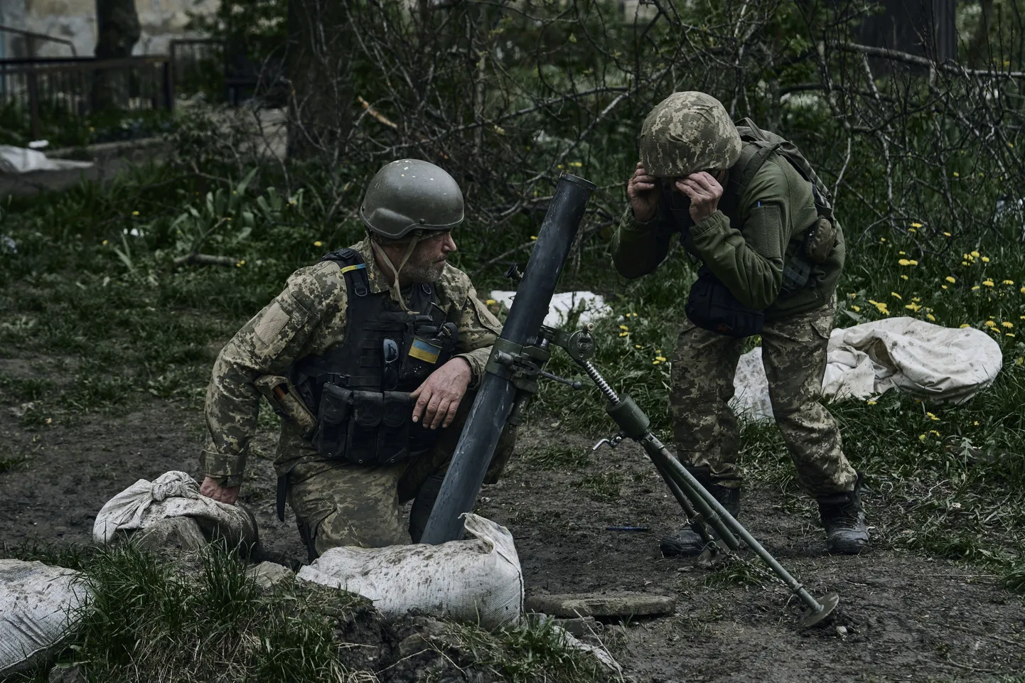 Raksta foto