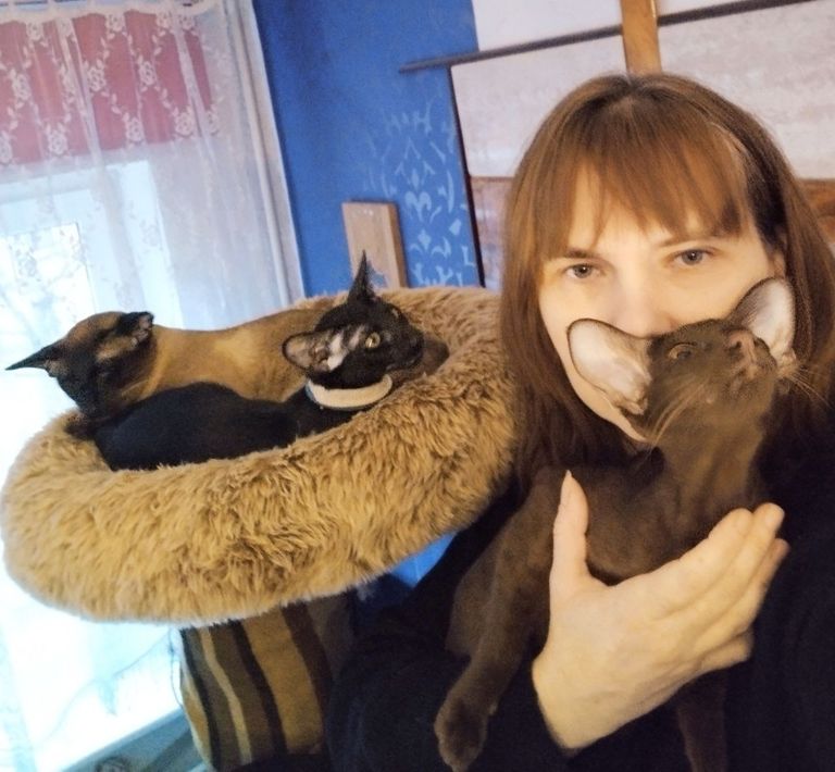 Алла Хокконен с котятами: «В каждом из них моя душевная теплота в новый дом передается, чтобы эта эстафета, этот фитилек любви не гас ни в коем случае».