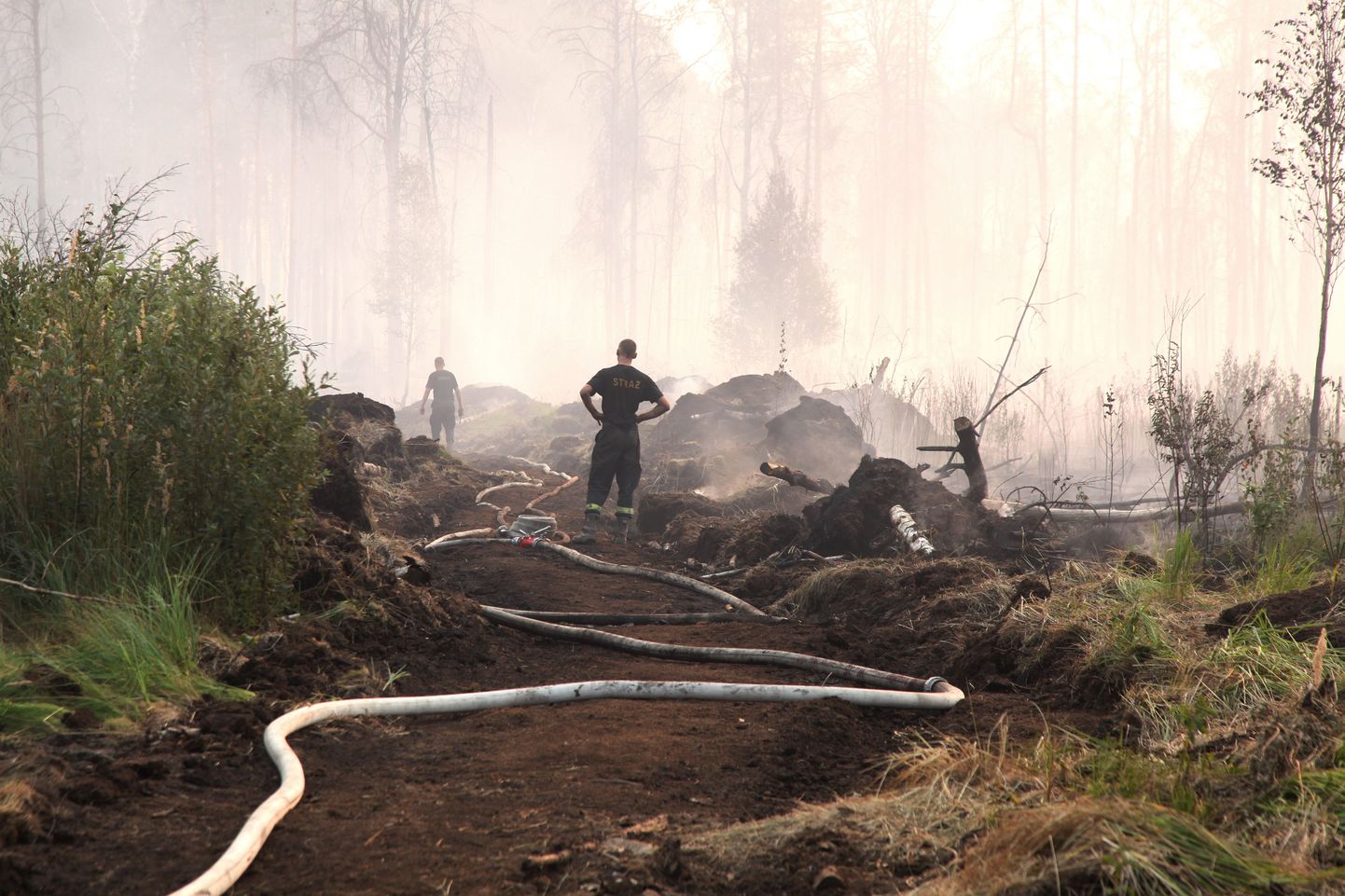 Tuletõrjujad metsas Rjazani oblastis.