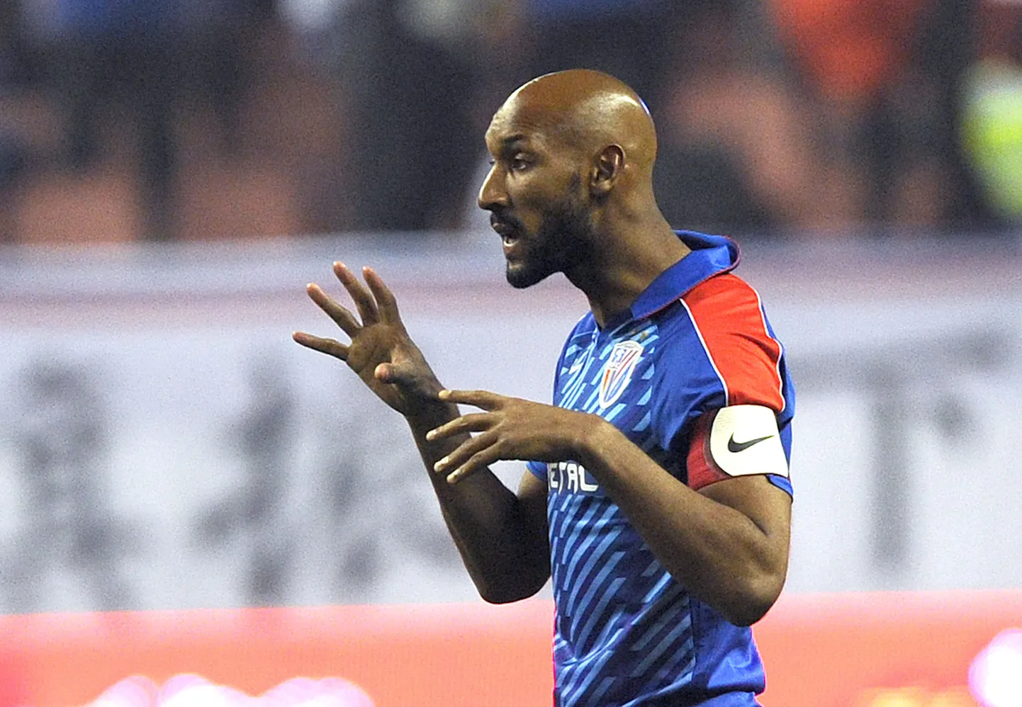 Nicolas Anelka.