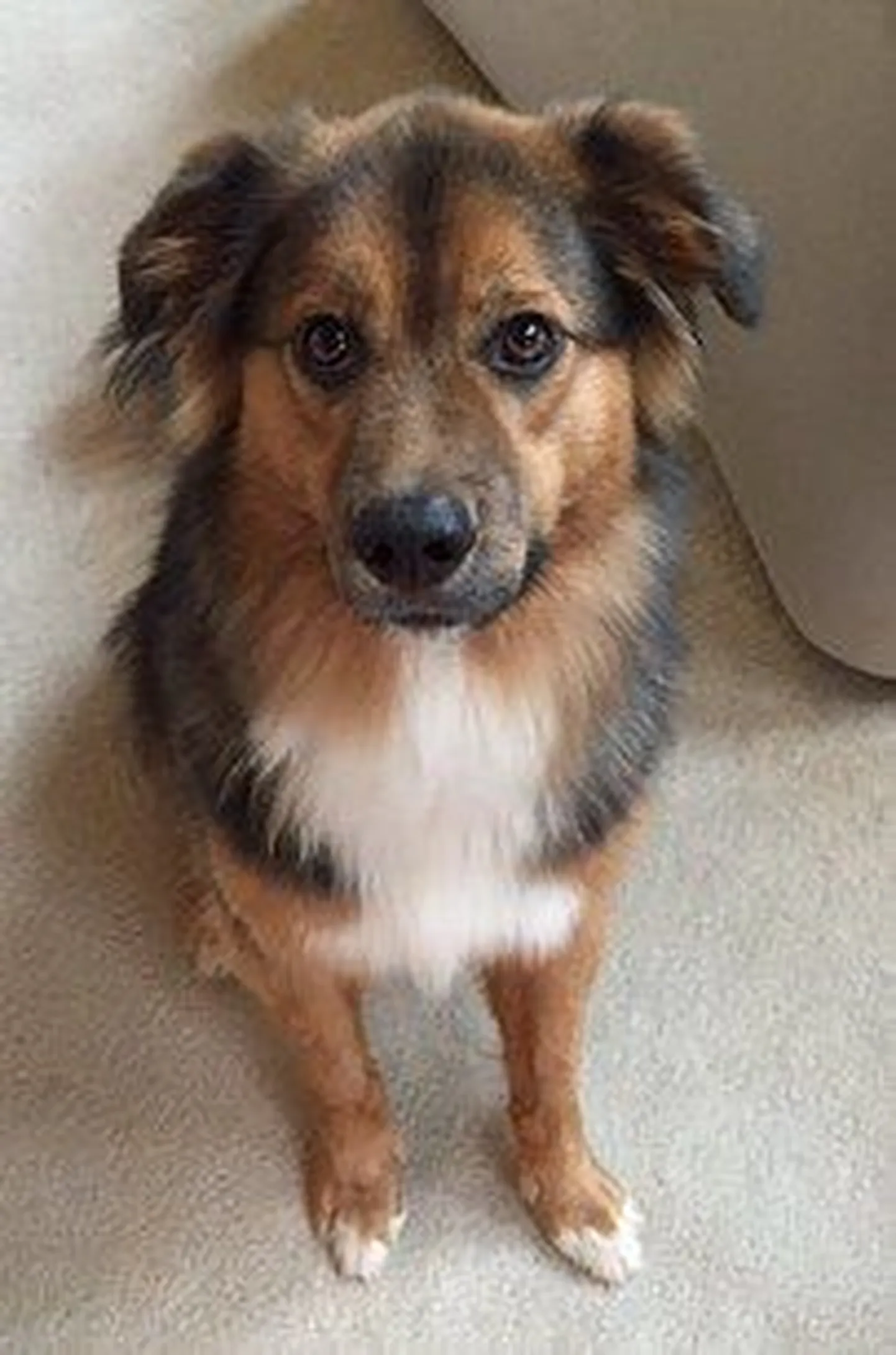 Bo.