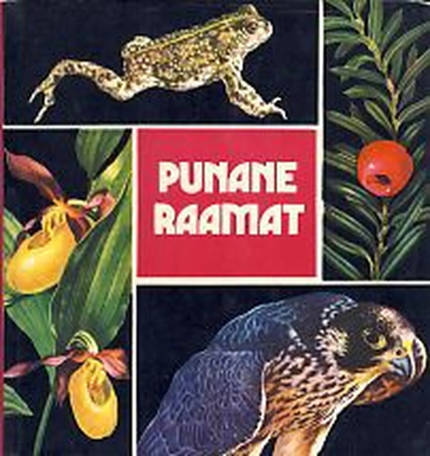 Фото статьи