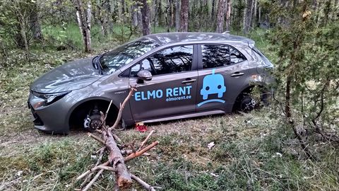 Горе-воры арендовали автомобиль, вывезли его в лес под Таллинном и сняли колеса